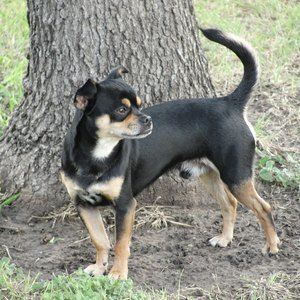 Meet your Posher, Daryl